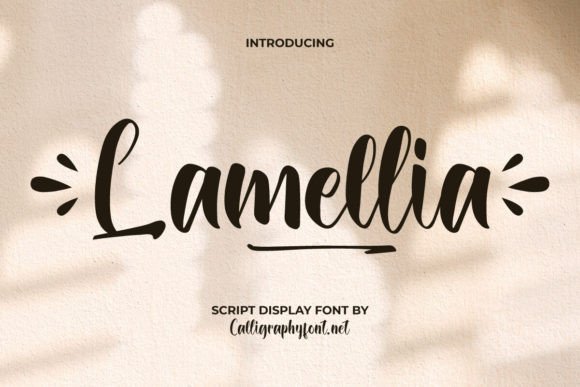 Lamellia Font Review: A Playful Script for Campaign Designers
